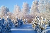 Зима - красивые картинки (50 фото) • Прикольные картинки и позитив